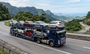 Transportadora de veículos confiável: o que avaliar